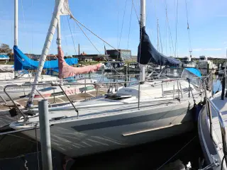 Solus 29 - 1985