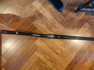 aya goldmann ambasador cal 12