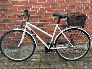 Damecykel, Cosmo