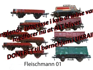 Fleischmann