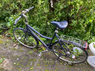 Cykel 