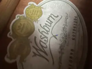Washburn guitar sælges