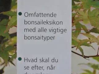 bonsai, Af colin lewis, emne: hus og have