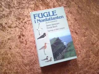 Fugle i Nordatlanten, Søren Sørensen