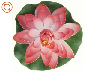 Lotusblomst (str. 15 cm)