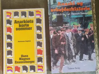 To bøger om anarki