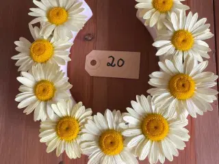 Porcelænsring og hestesko  