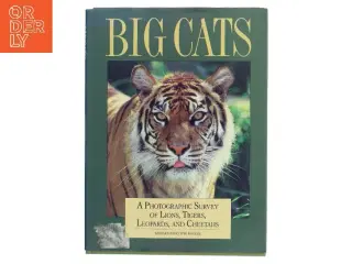 Big Cats af Barbara Radcliffe Rogers (Bog)