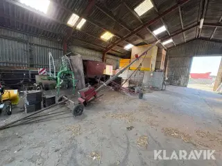 Kornsnegl