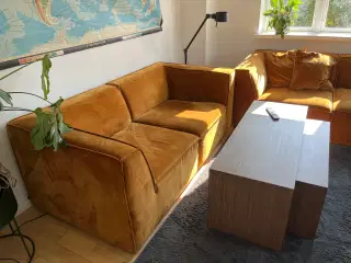 Sofaer 3 år gamle 
