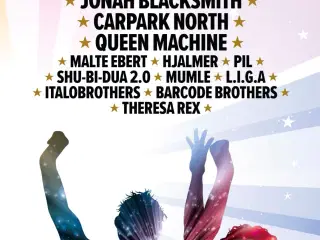 Billetter til SES Festival i Vojens