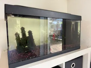 Akvarie 54L 
