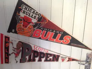 Chicago Bulls Vimpler