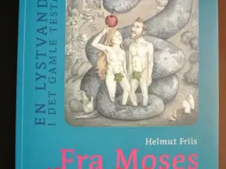 fra moses til malakias - en lystvandring i det gam