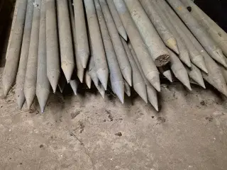 Hegnspæle massive plastik 