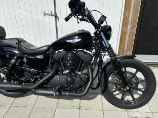 Harley Davidson Sporster xl 1200ns iron