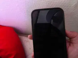 Fin iPhone 13