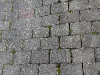 Belægning sten
