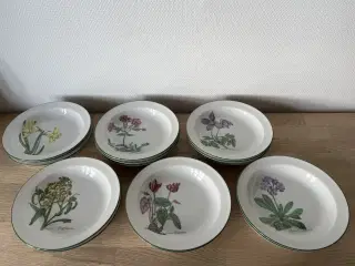 Retro Seltmann Weiden dybe tallerkener