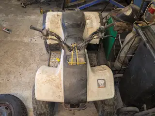 Atv