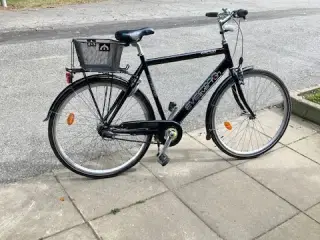 Velholdt Everton Herrecykel