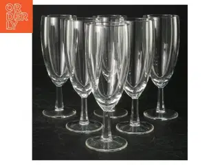 Champagneglas (str. 6 styk. 15 cm)