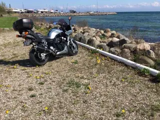 Yamaha FZS 600
