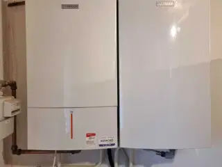 Bosch Gasfyr + Bosch varmtvandbeholder