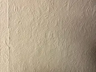 Taranta dværgpapegøje