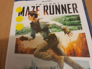 Maze runner trilogy