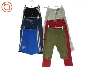 3 par bukser og 3 par shorts (str. 116)