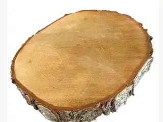 Træskive med bark 