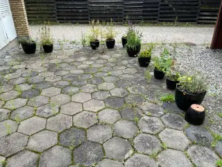 Blandet krukker