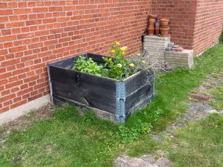 Plantekasse