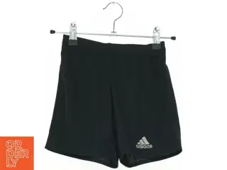 Adidas shorts (str. 116 cm)