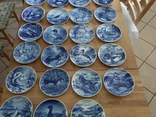 Jagtplatter 