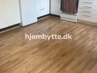 Hjembytte - Fokken