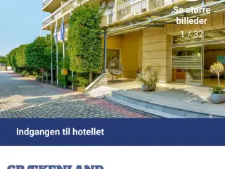 Tallerken