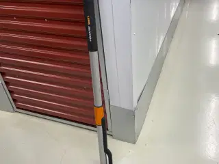 Mælkebøtte optager