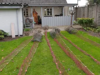 Åleruser 11 stk