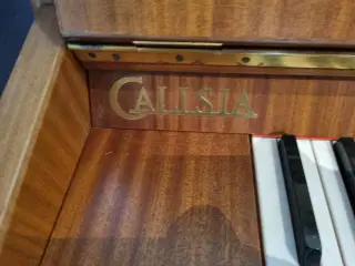 Klaver - Calisia