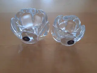 Lotus fyrfadssteger