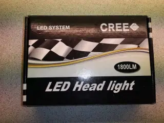 cree led head light