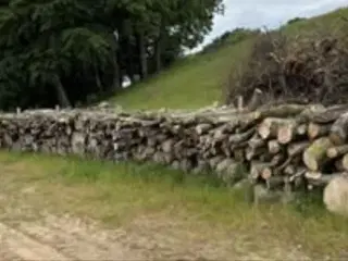 Blandet løvtræs brænde