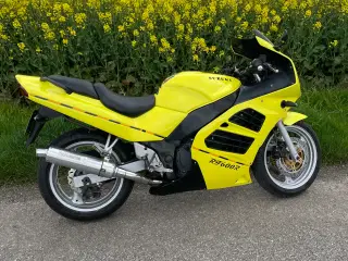 Suzuki RF 600 R