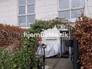 Hjembytte - Hyldemosen