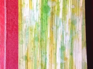 Gunnar Gunnarsson: Edbrødre