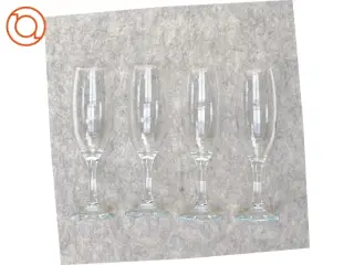 Champagneglas (str. 21 x 7 cm)