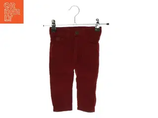 Fløjlsbukser fra Cheeky (Str. 62-70)