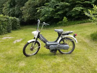 Knallert - Honda DX Camino Pa50